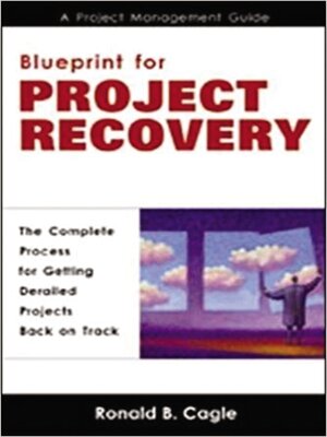 cover image of Blueprint for Project Recovery